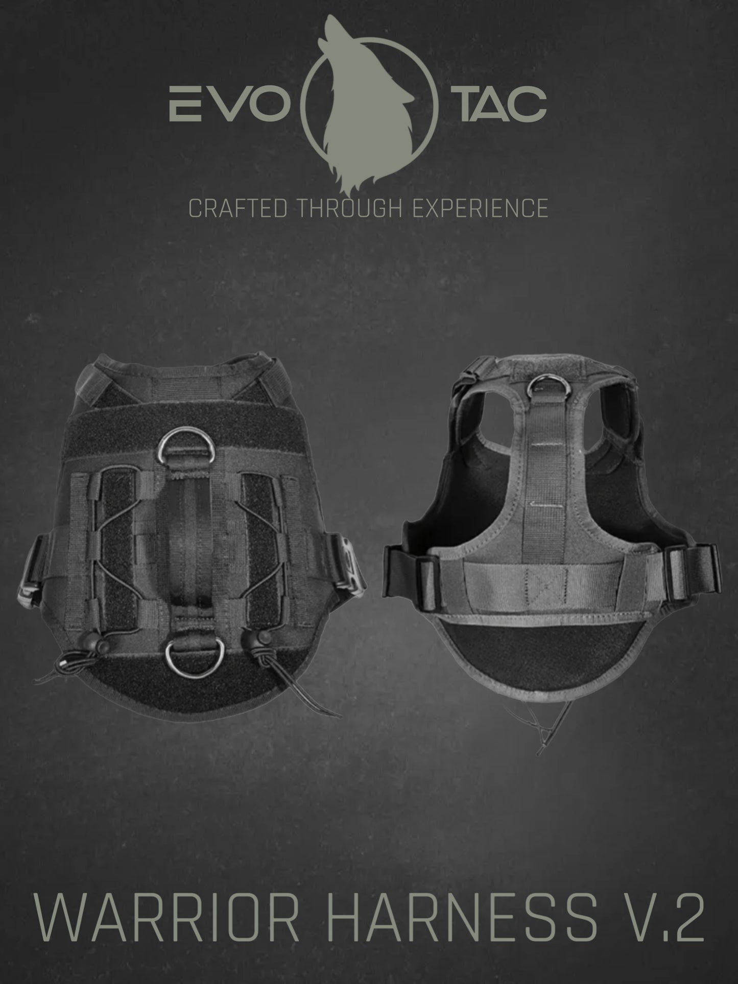 WARRIOR V.2 TACTICAL HARNESS