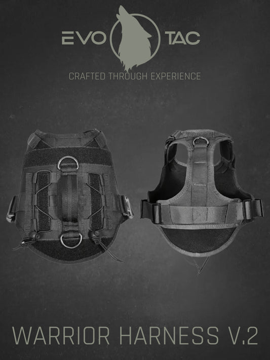 WARRIOR V.2 TACTICAL HARNESS